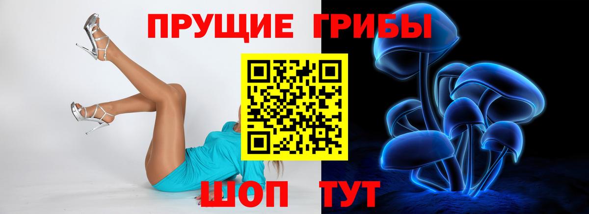 Псилоцибиновые грибы ЛСД  Вход с VPN  Тосно 